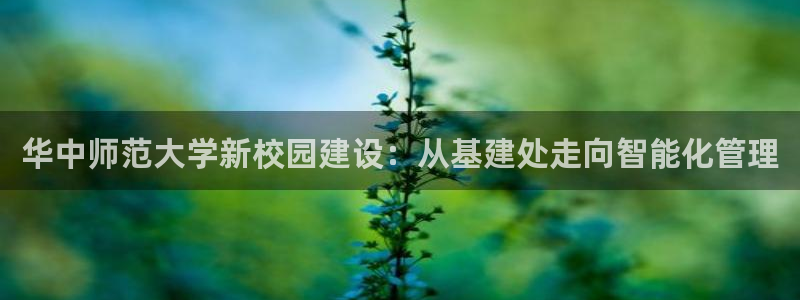 富邦娱乐国际